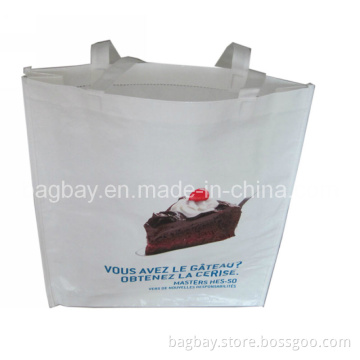 Eco-Friendly PP Non Woven Shopping Bag (NSBG09-031)